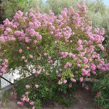 Meuble La Sergerie Apartman Le Lavandou