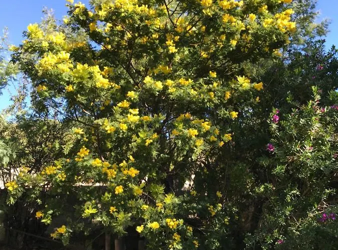 Meuble La Sergerie Apartman *