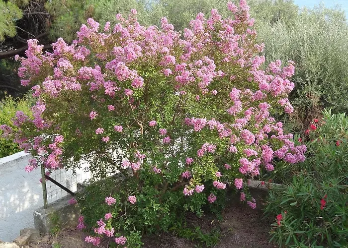 Meuble La Sergerie Apartman Le Lavandou